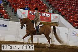 13buck_6435 proof