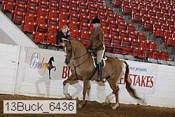 13buck_6436 proof