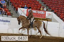 13buck_6437 proof