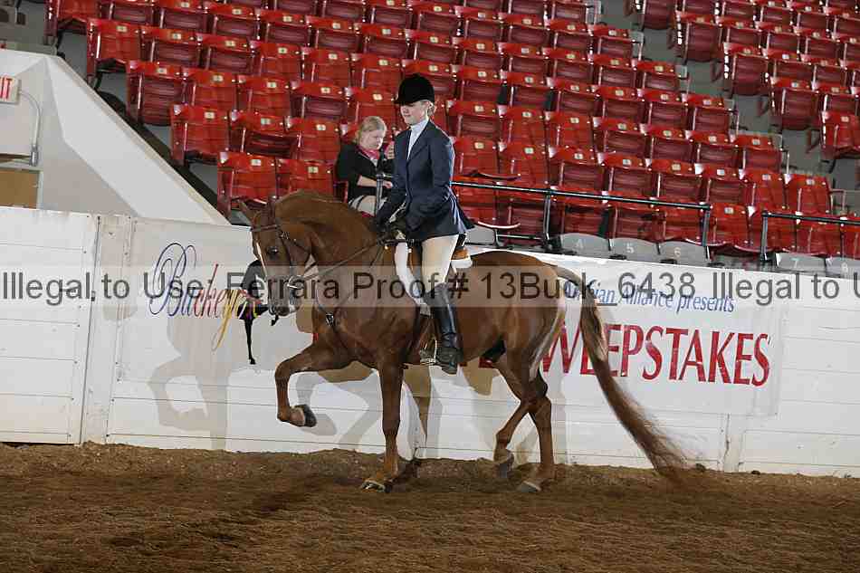 Proof 13buck_6438