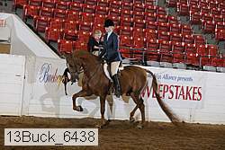 13buck_6438 proof