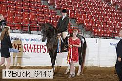 13buck_6440 proof