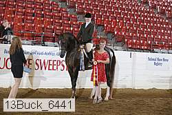 13buck_6441 proof