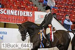 13buck_6442 proof