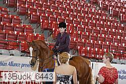 13buck_6443 proof