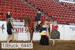 13buck_6445 proof