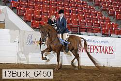 13buck_6450 proof