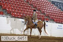 13buck_6451 proof