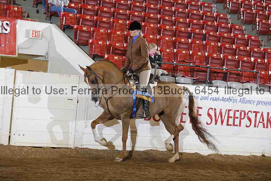 Proof 13buck_6454