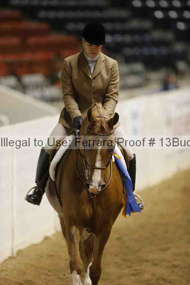 Proof 13buck_6456