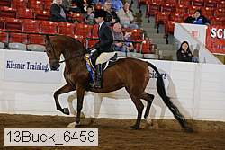 13buck_6458 proof