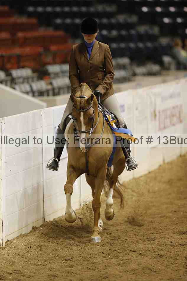Proof 13buck_6459
