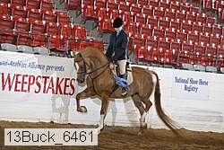 13buck_6461 proof