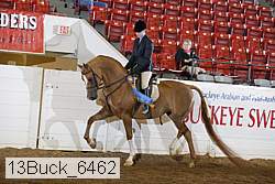 13buck_6462 proof
