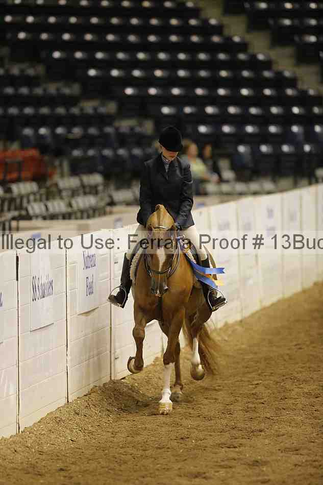 Proof 13buck_6465