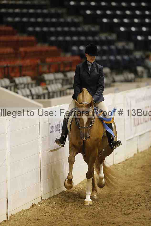 Proof 13buck_6466