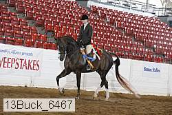13buck_6467 proof