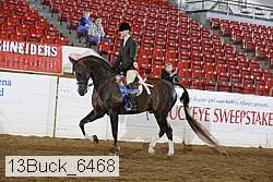 13buck_6468 proof