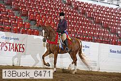 13buck_6471 proof