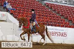 13buck_6472 proof