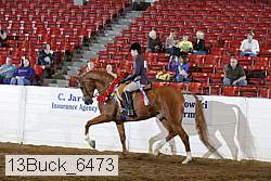 13buck_6473 proof