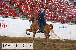 13buck_6478 proof