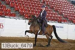 13buck_6479 proof