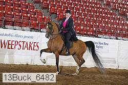 13buck_6482 proof
