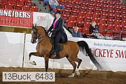 13buck_6483 proof