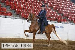 13buck_6484 proof