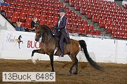 13buck_6485 proof