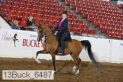 13buck_6487 proof