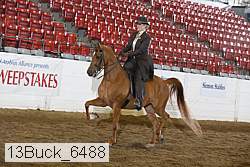 13buck_6488 proof