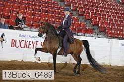 13buck_6489 proof