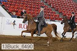 13buck_6490 proof