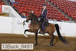 13buck_6491 proof