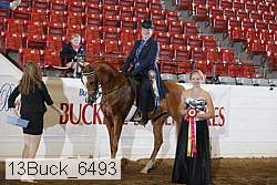 13buck_6493 proof
