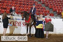 13buck_6496 proof