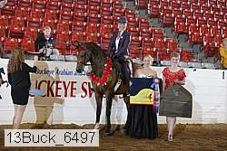 13buck_6497 proof