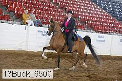 13buck_6500 proof