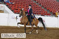 13buck_6501 proof