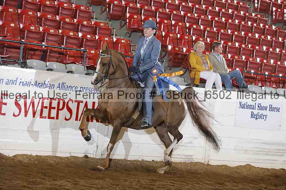 Proof 13buck_6502