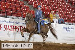 13buck_6502 proof
