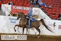 13buck_6503 proof