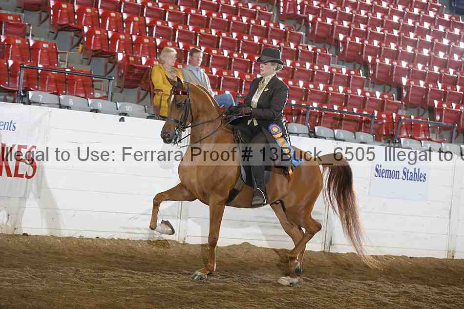 Proof 13buck_6505