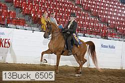 13buck_6505 proof