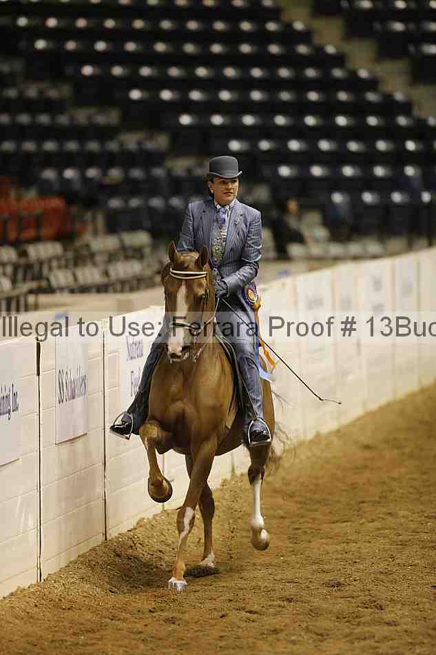 Proof 13buck_6507
