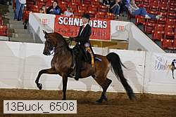 13buck_6508 proof