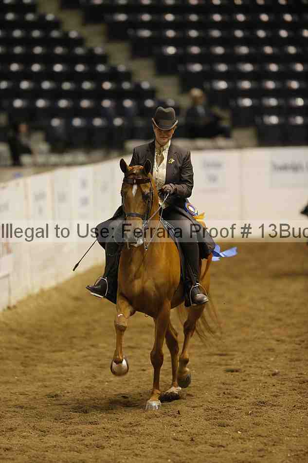 Proof 13buck_6509