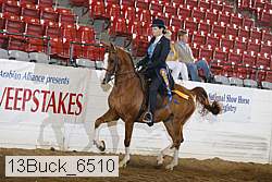 13buck_6510 proof